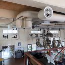 브라운핸즈 이미지