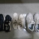 뽀송이 운동화 세탁 이미지