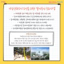 상반기 도서관 영어 놀이터 이미지