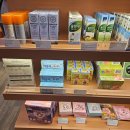 신사역에서 우연히 들어갔다가 1시간 넘게 둘러본 곳...약국, 옵티마 웰니스 뮤지엄 후기 -백아율 크림...