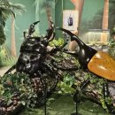 여주곤충박물관 이미지