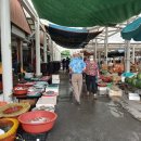 오리와 장어 이미지