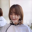 토니앤가이 행당점 이미지