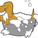 시온동물병원 이미지