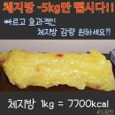 핏카
