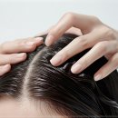 오소울산 이미지