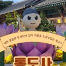 양평뽕잎해물칼국수 이미지