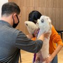 소노펫 스쿨 이미지