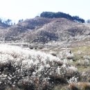 거창목장 이미지