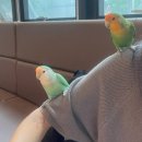 리프패럿시민공원점 이미지