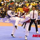 동해태권도체육관 이미지