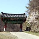 한국의 불교 무술 선무도 이미지