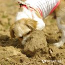 제주자연동물병원 이미지