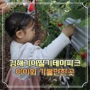 칠산로 | 경남 김해가야딸기테마파크 아이랑 함께 즐길 수 있는 실내 체험장