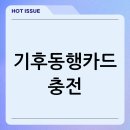 지에스25 하남아이씨(IC)점 | 기후동행카드 충전, 따릉이까지 무제한 이용