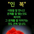 “실버타운, 절대 가지 마세요!” 신경건축학자가 보는 노후 주거의 요건 이미지