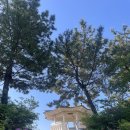 UR(경주시)-[동해안로]-상-16 | [경주여행] 경주 가볼만한 곳, 경주 일정, 경주 여행 코스, 감포 여행, 감포 가볼만한 곳, 감포 일정...