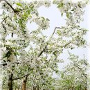 천일농장 이미지