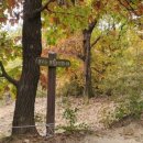 힐사이드배드민턴장 이미지