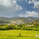 초원목장1 이미지