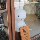 몽핏 이미지