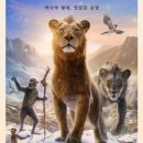 한국체대 최강태권도장 이미지