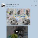 주견야독 이미지