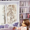 묘냥묘냥 이미지