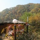 산마루황토 Daum카페