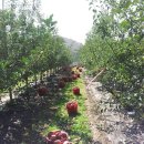 운학농장 이미지