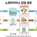 바이러스