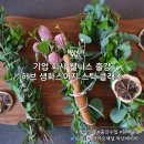 친환경 식물로 소품만들기 | 친환경 ESG 웰니스프로그램 허브 스머지스틱 클래스 키트