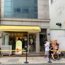 마카오박 | 속초 중앙시장 에그타르트 마카오박 예약 없이 먹은 후기