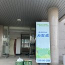 피자마루 홍성점 Daum카페