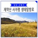 사자평 이미지