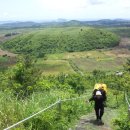 재일목장 이미지