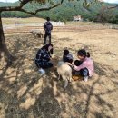 백수목장 이미지