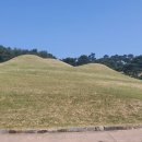 (주)여행문화 티스토리