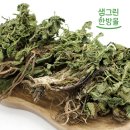배추몰