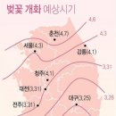 올해 꽃피는 시기가 많이 빨라질 것 같네요..| 이미지