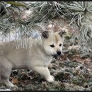 전일농장 이미지