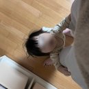 11500-19-26-01 | 26. 01. 19 - 02. 01 포토다이어리(11개월 336일~349일)