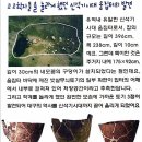 장수천변(현대아파트 뒤) | 문학 소재서의 대구 인물 60선