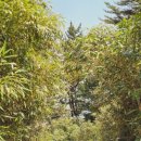 초곡리조트 | 삼척 풀빌라 뭇별 후기｜발리 감성 수영장과 오션뷰 자쿠지 독채 숙소 삼척 펜션