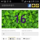 트루타이 이미지
