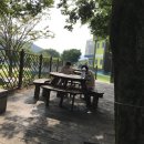 숭산초등학교 티스토리
