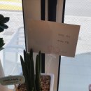 카페베풂 이미지