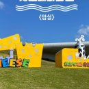 임실엔치즈테마파크 이미지