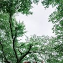 보은산V랜드 이미지