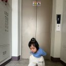 (주)브레인 | [26여름 3주차] 쑥쑥자라 까꿍브레인 • 아이젬교육 • 문센 후기 |15개월아기 문센